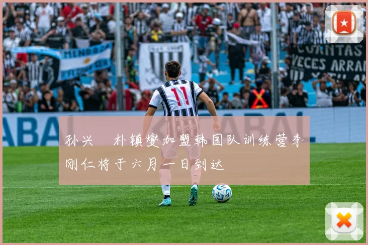 孙兴慜朴镇燮加盟韩国队训练营李刚仁将于六月一日到达